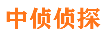 阳春市调查公司